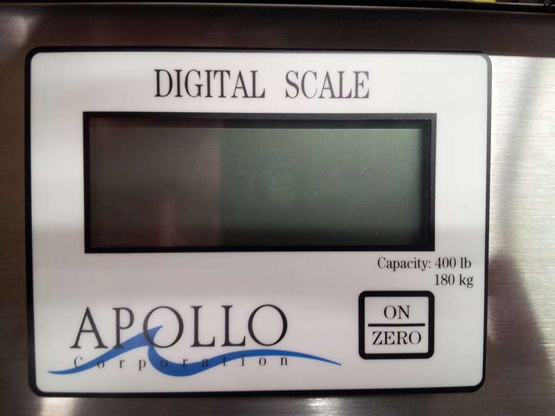 330270 scale touch pad